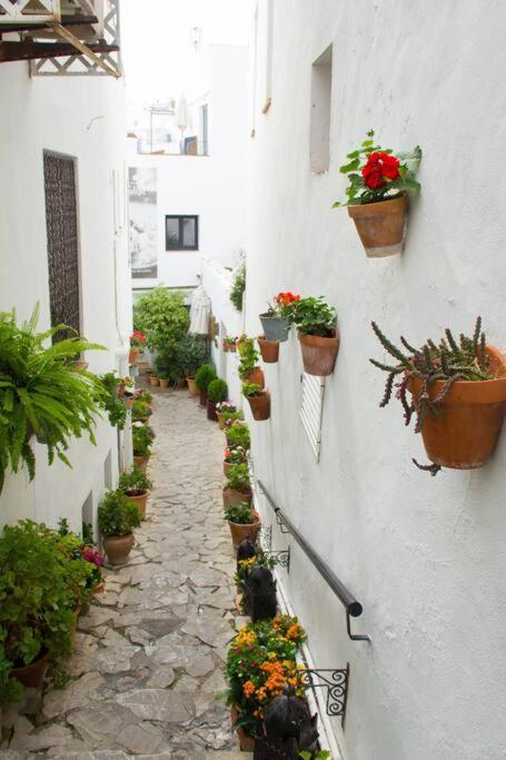 Casa Anicca Apartment Vejer de la Frontera Exterior photo
